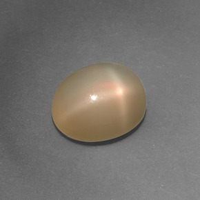 Star Moonstone Gemstone in 11 x 9 mm (calibrated) Size for Sale, Star Moonstone Stone in Medium Orange Color
