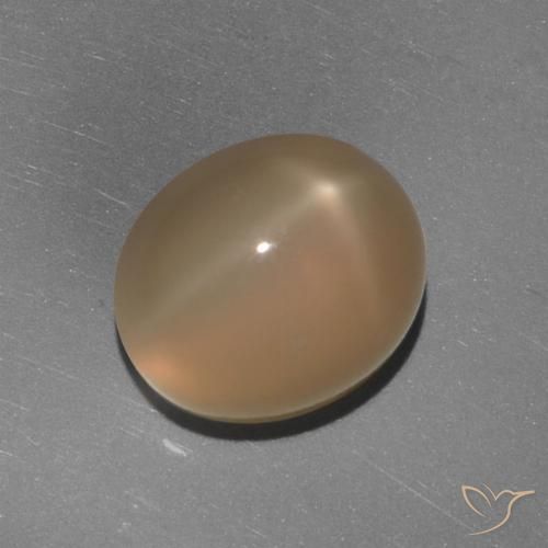 حجر القمر نجم بيضاوي 5.84 قيراطًا ، <cite dir="ltr" lang="en">11.1 x 9.2</cite> مم من الهند, Photo A