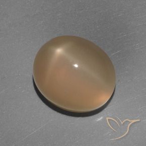 5.84 ct Orange Star Moonstone Stone, Natural Star Moonstone in Oval Cabochon Shape for Sale