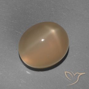 Star Moonstone Gemstone in 11 x 9 mm (calibrated) Size for Sale, Star Moonstone Stone in Medium-Dark Orange Color