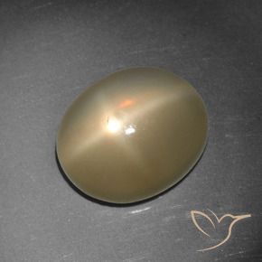 5.65 ct Orange Star Moonstone Stone, Natural Star Moonstone in Oval Cabochon Shape for Sale
