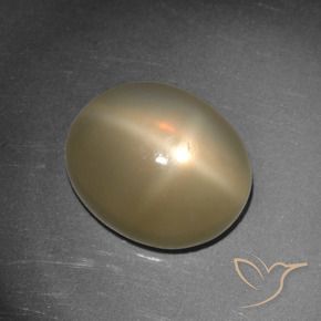 Star Moonstone Gemstone in 12 x 10 mm (calibrated) Size for Sale, Star Moonstone Stone in Medium-Dark Orange Color