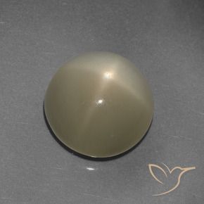 Star Moonstone Gemstone in 13 mm (calibrated) Size for Sale, Star Moonstone Stone in Light Coffee Brown Color