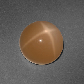 3.65 ct Orange Star Moonstone Gemstone, Star Moonstone Gem in Round Cabochon Shape for Sale.