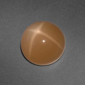 3.65 ct Orange Star Moonstone Stone, Natural Star Moonstone in Round Cabochon Shape for Sale