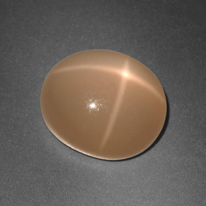 5.77 ct Orange Star Moonstone Gemstone, Star Moonstone Gem in Oval Cabochon Shape for Sale.