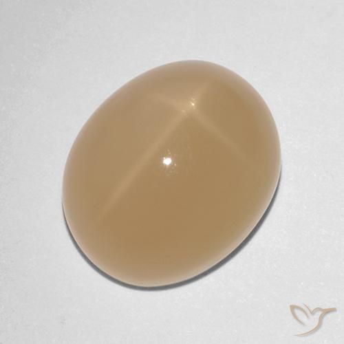 Pierre de Lune Étoilé Orange oval cabochon de l'Inde, 12,1 x 10,1mm, poids de 7,88 ct, pierre gemme naturelle Non traité de pureté Translucide, 1 pièce Pierre de Lune Étoilé, couleur Orange cantaloup, dureté Mohs de 6 à 6.5, Photo A