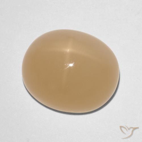 Star Moonstone Gemstone in 12 x 10 mm (calibrated) Size for Sale, Star Moonstone Stone in Cantaloupe Orange Color