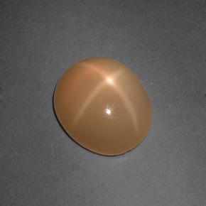 Star Moonstone Gemstone in 12 x 10 mm (calibrated) Size for Sale, Star Moonstone Stone in Cream Peach Color