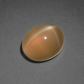 3.69 ct Orange Star Moonstone Stone, Natural Star Moonstone in Oval Cabochon Shape for Sale