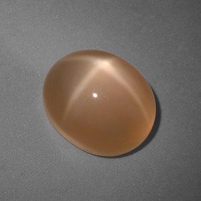 Star Moonstone Gemstone in 11 x 9 mm (calibrated) Size for Sale, Star Moonstone Stone in Cream Peach Color