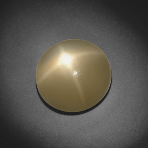 5.20 ct Cream Star Moonstone Gemstone, Star Moonstone Gem in Round Cabochon Shape for Sale.