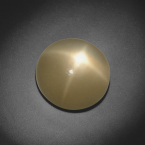 5.20 ct Cream Star Moonstone Stone, Natural Star Moonstone in Round Cabochon Shape for Sale