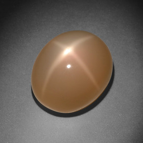 11.18 ct Orange Star Moonstone Stone, Natural Star Moonstone in Oval Cabochon Shape for Sale