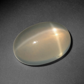 Light Tortilla Brown Star Moonstone Gem - 8.2ct Oval Cabochon (ID: 416823)