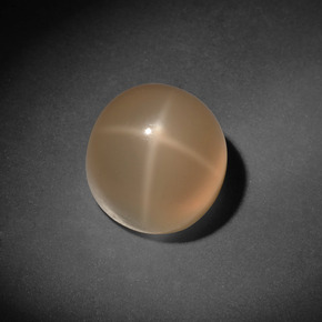 7.13 ct Cream Star Moonstone Gemstone, Star Moonstone Gem in Round Cabochon Shape for Sale.