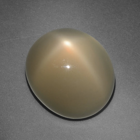 Brownish Orange Star Moonstone Gem - 10.9ct Oval Cabochon (ID: 416853)