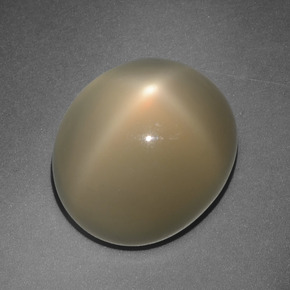 10.88 ct Orange Star Moonstone Stone, Natural Star Moonstone in Oval Cabochon Shape for Sale