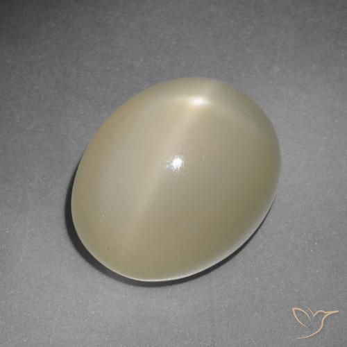 Pierre de Lune Étoilé Orange jaune Ovale 12,22 ct de l'Inde, Dimension 14,5 x 11,7mm, Pierre gemme naturelle Non traité, pureté Translucide, 1 pièce Pierre de Lune Étoilé oval cabochon, dureté de Mohs de 6 à 6.5, Photo A