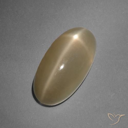 حجر القمر نجم بيضاوي 7.96 قيراطًا ، <cite dir="ltr" lang="en">16.6 x 8.4</cite> مم من الهند, Photo A
