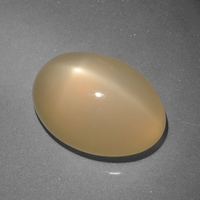 7.37 ct Golden Star Moonstone Stone, Natural Star Moonstone in Oval Cabochon Shape for Sale