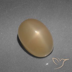 Star Moonstone Gemstone in 10.1 x 7.3 mm Size for Sale, Star Moonstone Stone in Gold Color