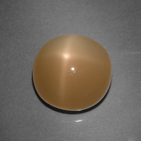 6.43 ct Orange Star Moonstone Stone, Natural Star Moonstone in Round Cabochon Shape for Sale