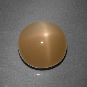 Star Moonstone Gemstone in 11.5 mm Size for Sale, Star Moonstone Stone in Cream Peach Color