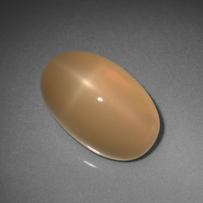 Star Moonstone Gemstone in 13.8 x 8.9 mm Size for Sale, Star Moonstone Stone in Cream Peach Color