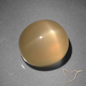 Star Moonstone Gemstone in 10.8 x 9.8 mm Size for Sale, Star Moonstone Stone in Medium Orange Color