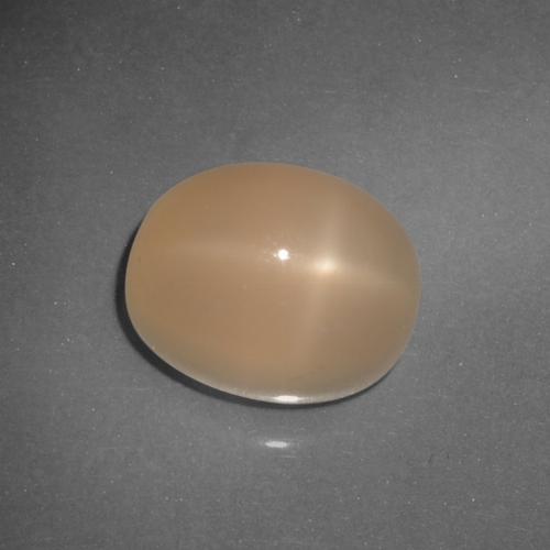 Naranja medio Piedra de Luna Estrella Gema - 6.2ct Cabujón Óvalo (ID: 416970)
