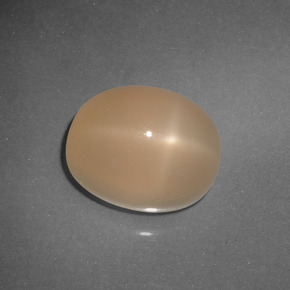 Star Moonstone Gemstone in 11.3 x 8.7 mm Size for Sale, Star Moonstone Stone in Medium Orange Color