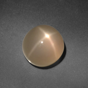 4.98 ct Cream Star Moonstone Gemstone, Star Moonstone Gem in Round Cabochon Shape for Sale.