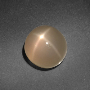 4.98 ct Cream Star Moonstone Stone, Natural Star Moonstone in Round Cabochon Shape for Sale