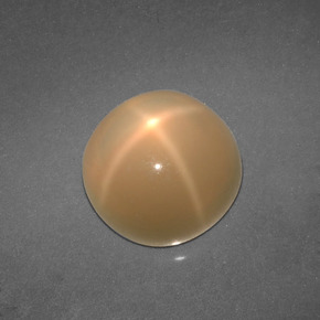 4.57 ct Cream Star Moonstone Stone, Natural Star Moonstone in Round Cabochon Shape for Sale