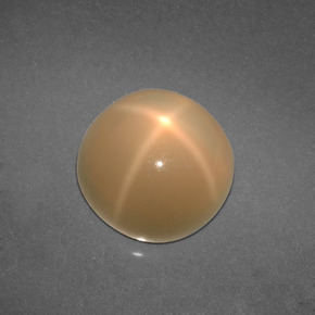 Star Moonstone Gemstone in 10 mm (calibrated) Size for Sale, Star Moonstone Stone in Cream Color