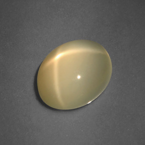 2.72 ct Cream Star Moonstone Stone, Natural Star Moonstone in Oval Cabochon Shape for Sale