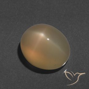 9.66 ct Golden Star Moonstone Stone, Natural Star Moonstone in Oval Cabochon Shape for Sale