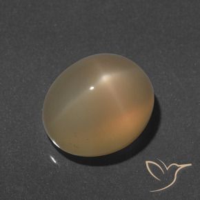 Star Moonstone Gemstone in 13 x 11 mm (calibrated) Size for Sale, Star Moonstone Stone in Light Peachy Golden Color