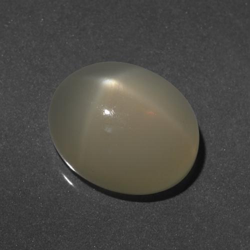 Piedra de Luna Estrella Cabujón Óvalo de 8,78 ct de India, Dimensión 14,1 x 11,6mm, Claridad Translúcido, Piedra preciosa natural No tratado, 1 pieza de Piedra de Luna Estrella en color Blanco cálido, Dureza Mohs de 6 - 6.5, Photo A