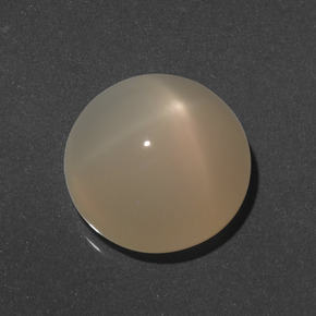 Medium-Light Orange Sternmondstein Edelstein - 8ct Rund Cabochon (ID: 418096)