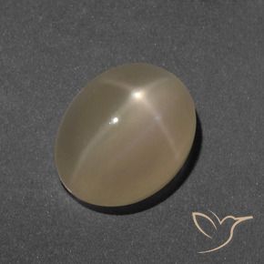 Star Moonstone Gemstone in 12 x 9.5 mm Size for Sale, Star Moonstone Stone in Brownish Orange Color