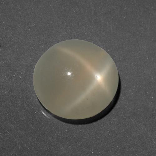 Light Yellow Star Moonstone Gem - 6.1ct Round Cabochon (ID: 418106)