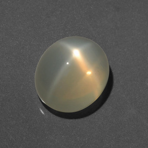 Light Yellow Star Moonstone Gem - 5.9ct Oval Cabochon (ID: 418107)