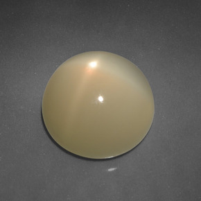 6.83 ct Golden Star Moonstone Stone, Natural Star Moonstone in Round Cabochon Shape for Sale