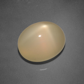 6.65 ct Golden Star Moonstone Stone, Natural Star Moonstone in Oval Cabochon Shape for Sale