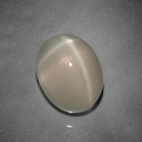 Marrón café claro Piedra de Luna Estrella Gema - 5.3ct Cabujón Óvalo (ID: 418257)
