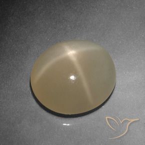 Star Moonstone Gemstone in 12.3 x 11.2 mm Size for Sale, Star Moonstone Stone in Medium-Dark Orange Color