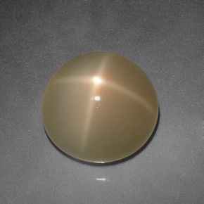 5.94 ct Cream Star Moonstone Stone, Natural Star Moonstone in Round Cabochon Shape for Sale