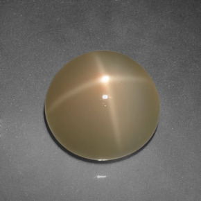 Star Moonstone Gemstone in 11 mm (calibrated) Size for Sale, Star Moonstone Stone in Cream Color